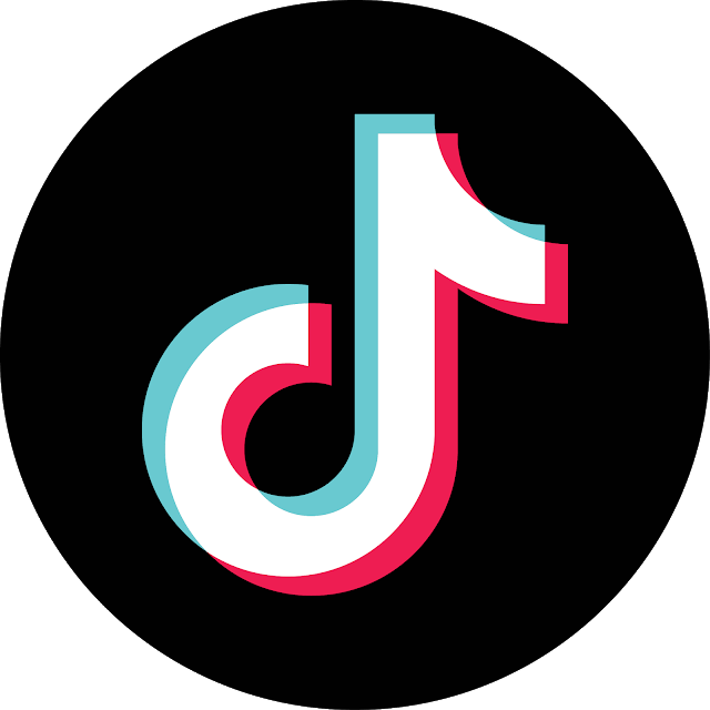 TikTok Video Scraper